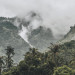 Bali_Regen_Text_Kulturblazer